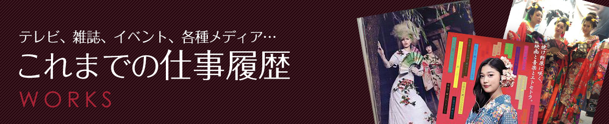 これまでの仕事履歴